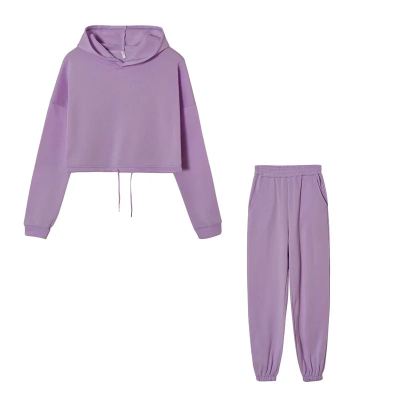 Purple hoodie and jogger pants set on a white background